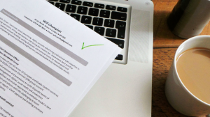 Picture of a career change CV